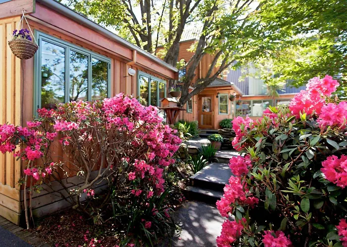 特瓦讷卡旅馆 山林小屋 瓦纳卡