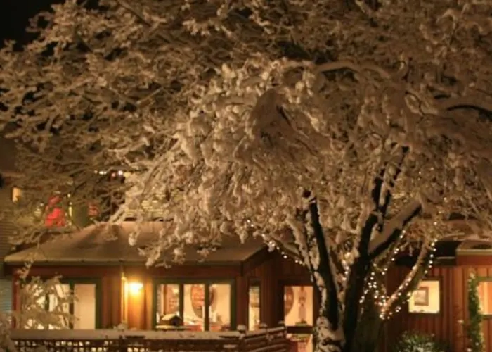 Te Lodge *