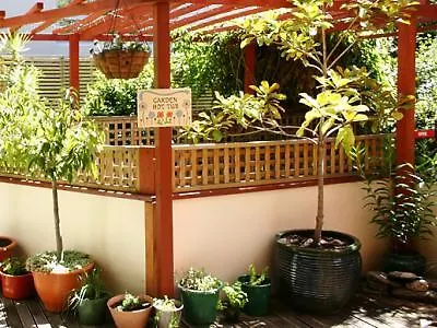 山林小屋 特瓦讷卡旅馆 *